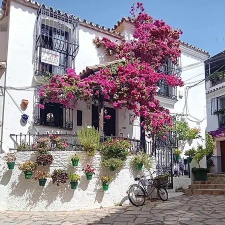 Spacieux Appartamento